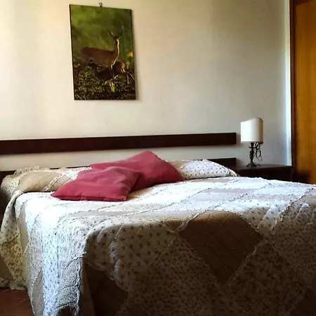 Casa Delle Orchidee Apartment